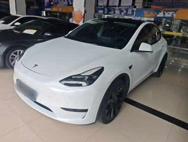 Tesla Model Y 2022 car image 