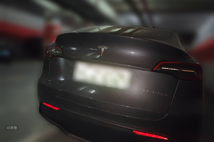 Tesla Model Y 2022 #6 Tesla Model Y 2022 car image #6