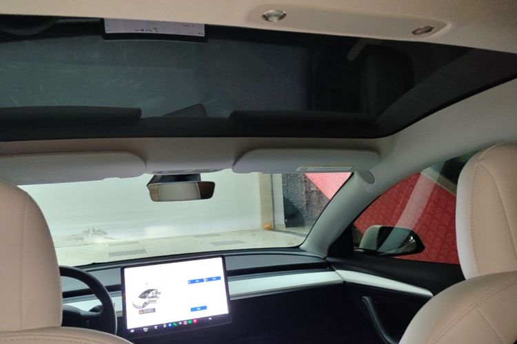 Tesla Model 3 2021 car image #20