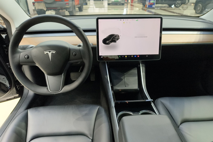 Tesla Model 3 2020 car image #11