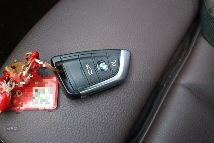 BMW X1 2020 imagen de coche #10