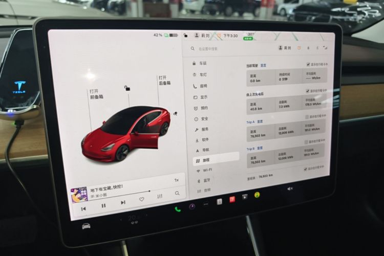 Tesla Model 3 2020 car image #12