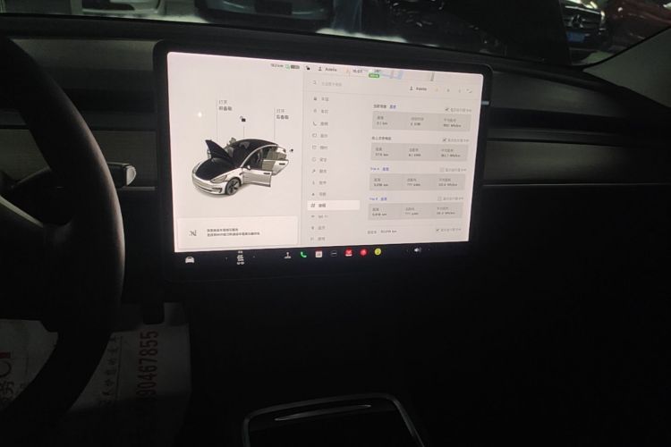 Tesla Model 3 2021 #13 Tesla Model 3 2021 car image #13