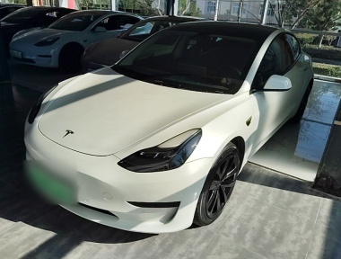 Tesla Model 3 2021 car image 