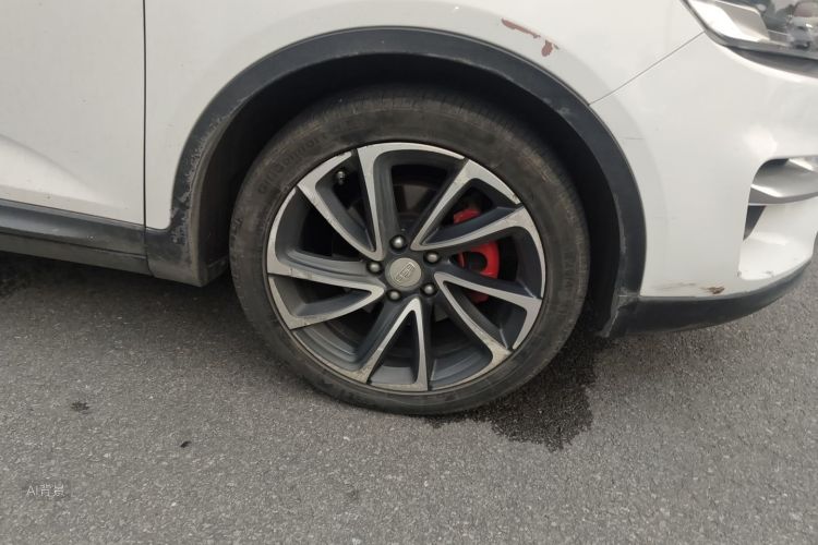 GEELY Emgrand GS 2016 car image #9