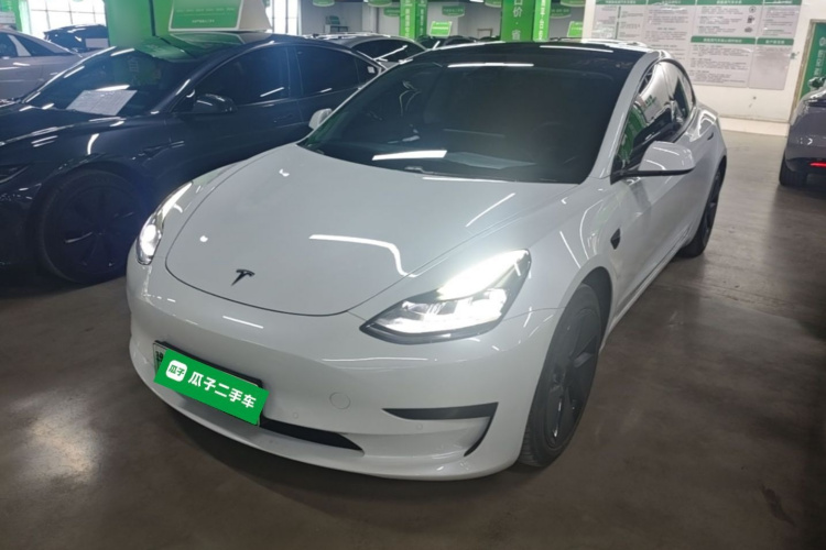 Tesla Model 3 2021 #2 Tesla Model 3 2021 car image #2