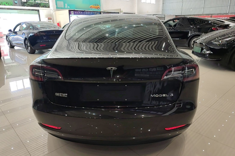Tesla Model 3 2023 #6 Tesla Model 3 2023 car image #6