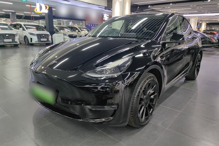 Tesla Model Y 2021 #2 Tesla Model Y 2021 car image #2