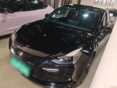 Tesla Model 3 2022 Tesla Model 3 2022 car image