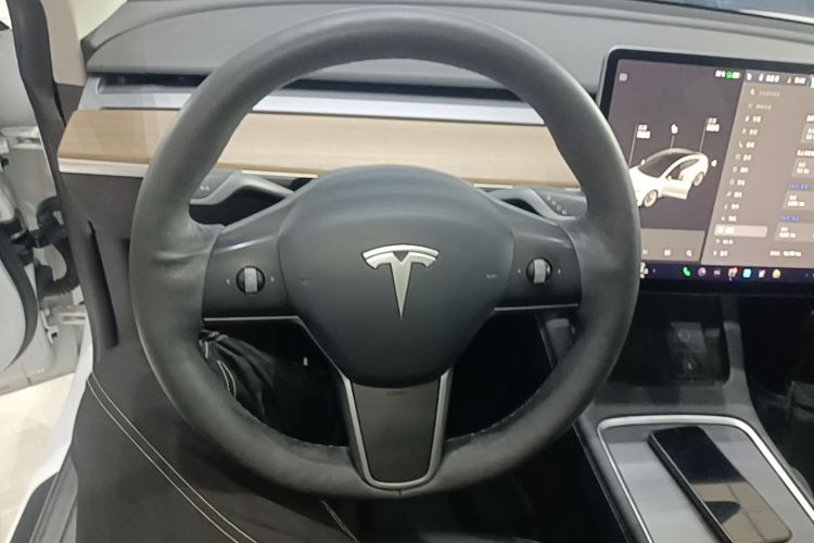 Tesla Model 3 2021 #11 Tesla Model 3 2021 car image #11