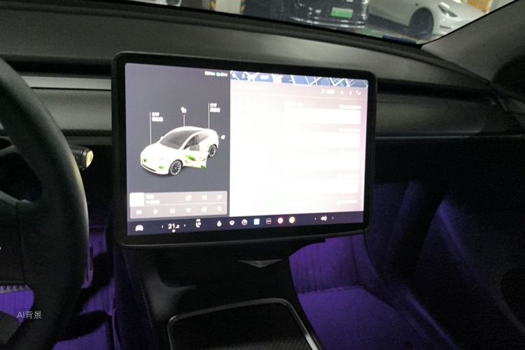Tesla Model Y 2021 car image #15