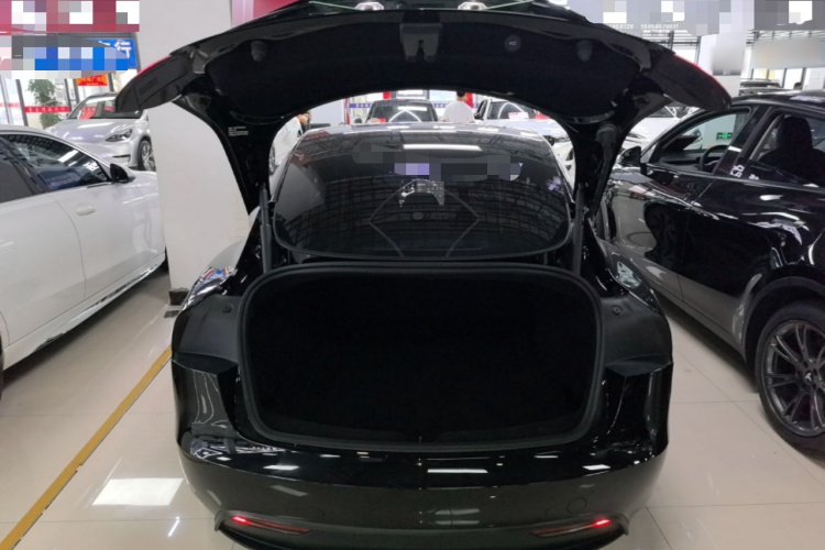 Tesla Model 3 2024 #19 Tesla Model 3 2024 car image #19
