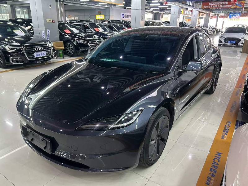 Tesla Model 3 2024 Tesla Model 3 2024 car image