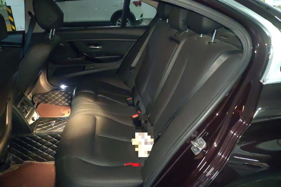 BMW 3 Series 2016 car image #19