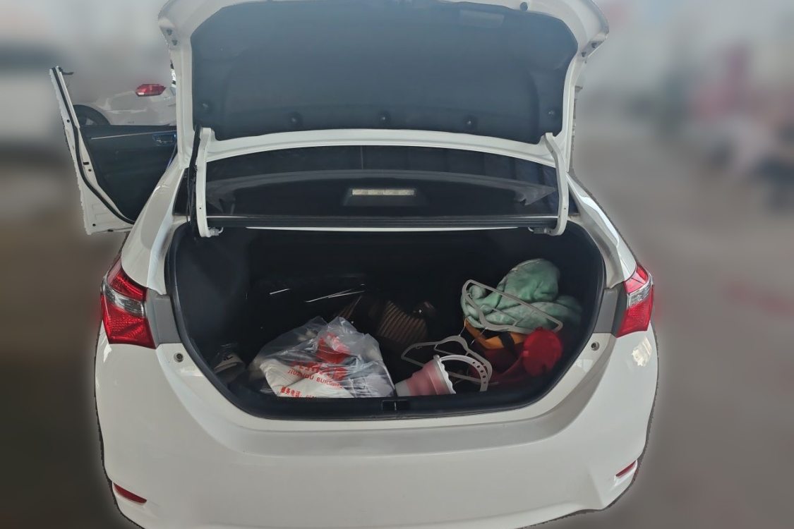 Toyota Corolla 2018 car image #8