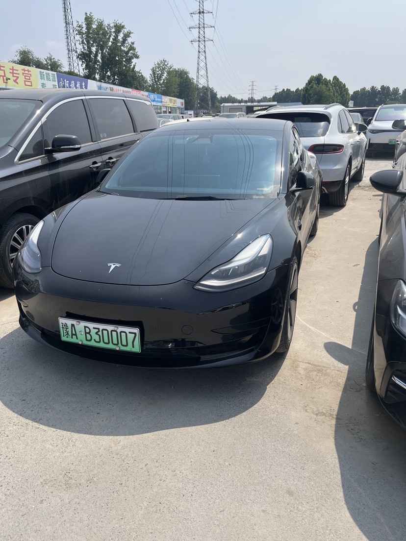 Tesla Model 3 2021 #2 Tesla Model 3 2021 car image #2