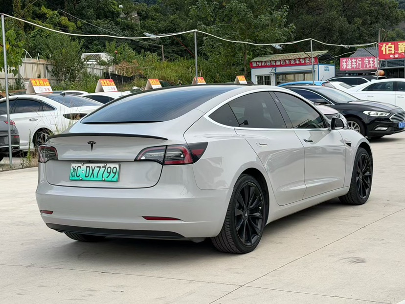 Tesla Model 3 2020 car image #9