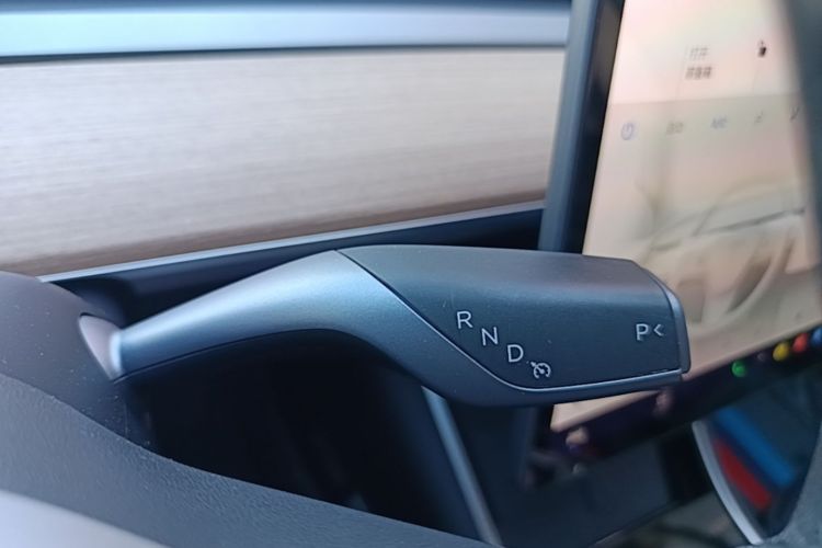 Tesla Model 3 2020 car image #20