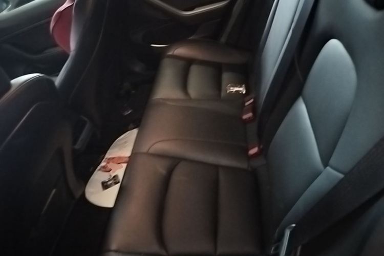 Tesla Model 3 2020 car image #17