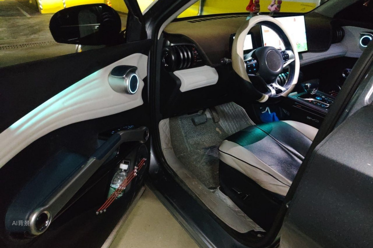 BYD Yuan Plus 2022 car image #18