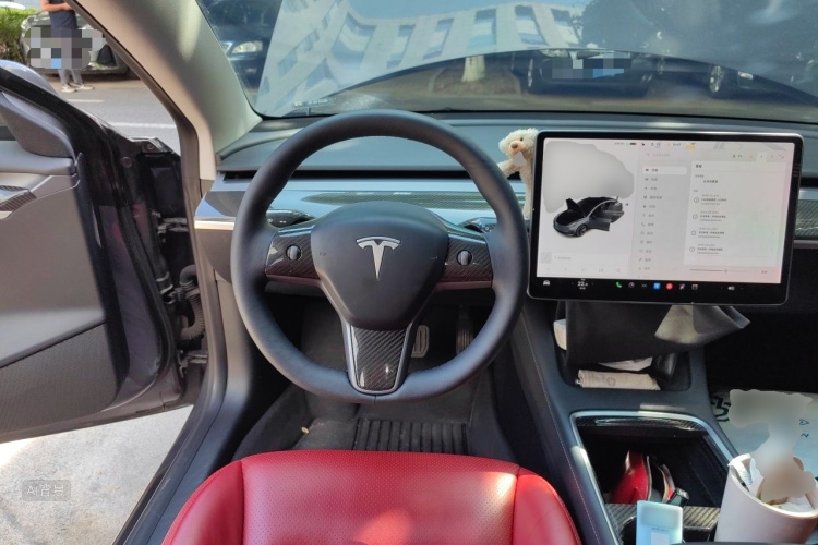 Tesla Model 3 2021 car image #12