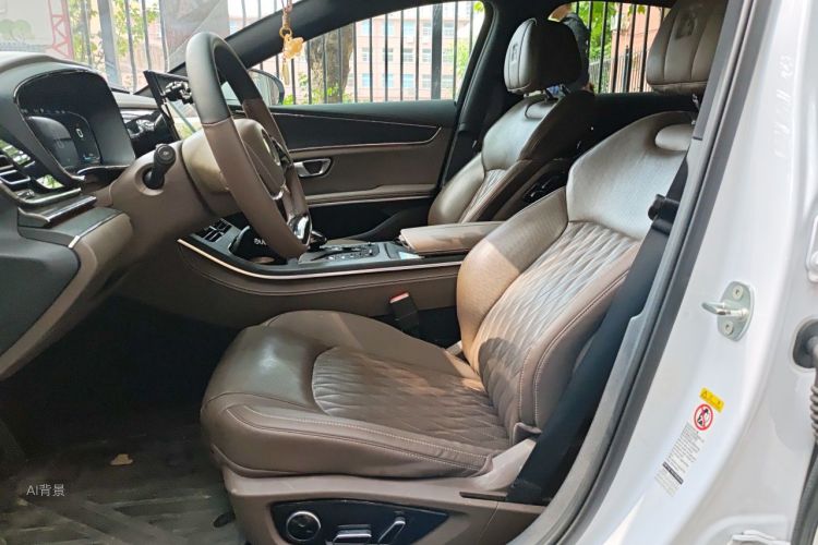 BYD Han 2021 car image #17