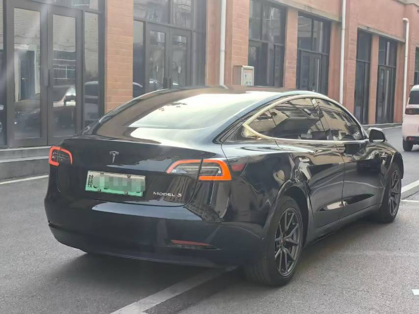 Tesla Model 3 2020 #4 Tesla Model 3 2020 car image #4