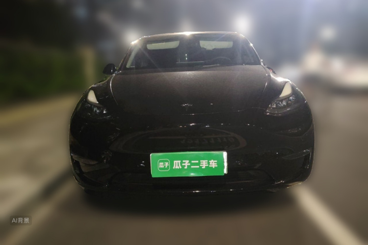 Tesla Model Y 2021 car image #3
