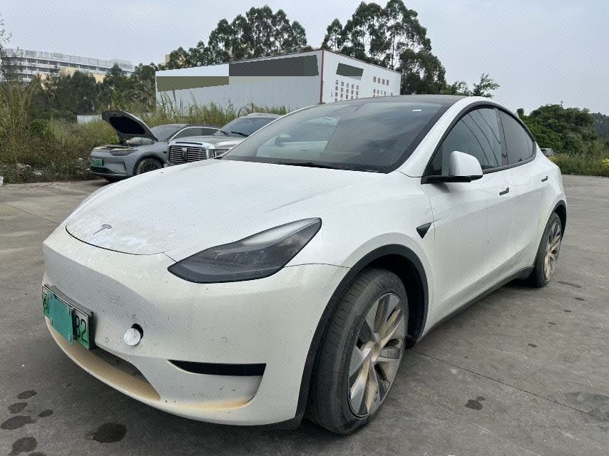 Tesla Model Y 2022 car image 