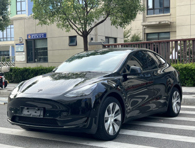 Tesla Model Y 2023 Tesla Model Y 2023 car image