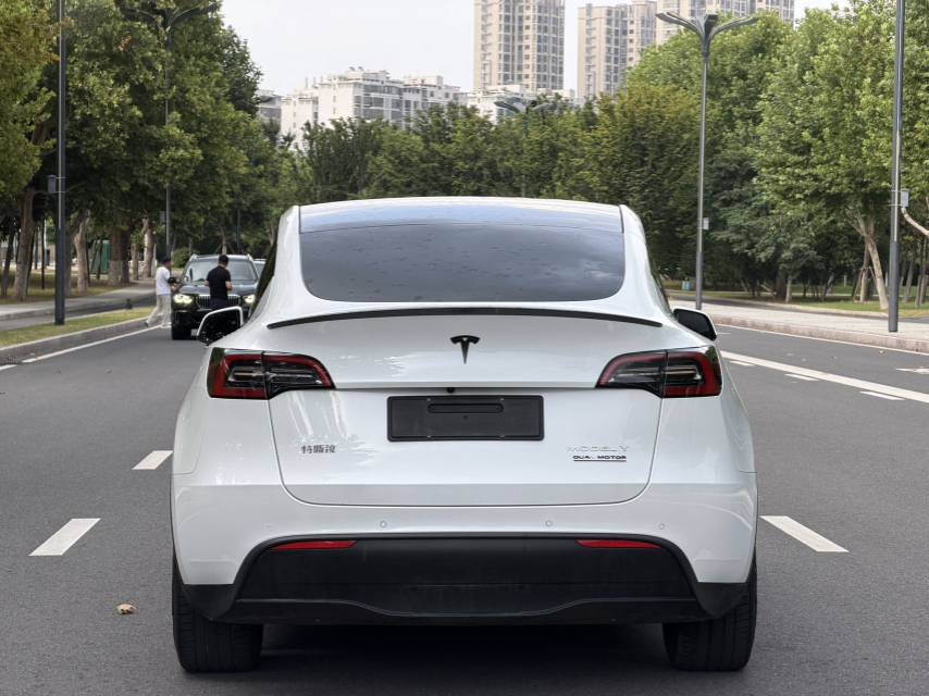 Tesla Model Y 2024 car image #5