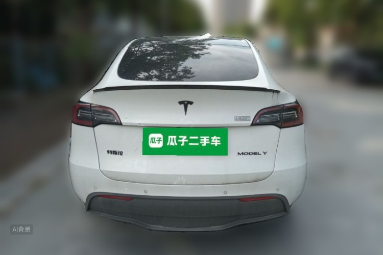 Tesla Model Y 2021 car image #6