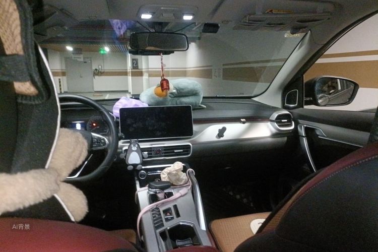 GEELY Coolray 2022 image de voiture #20