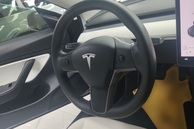 Tesla Model 3 2020 #11 Tesla Model 3 2020 car image #11