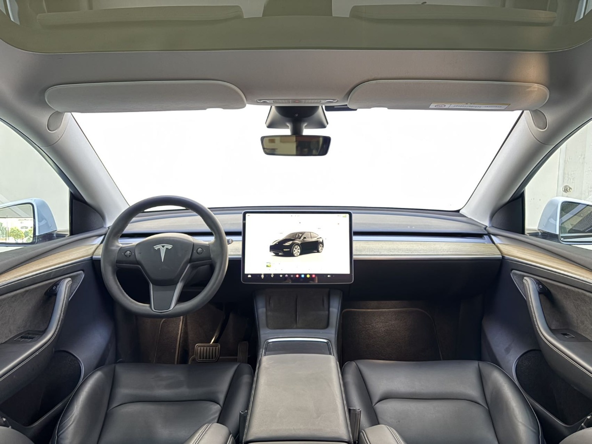 Tesla Model Y 1969 #5 Tesla Model Y 1969 car image #5