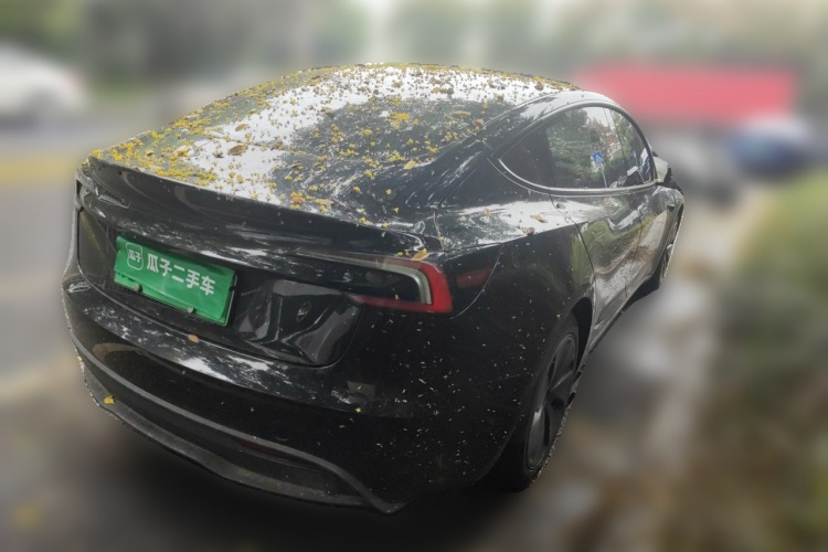 Tesla Model 3 2023 #5 Tesla Model 3 2023 car image #5