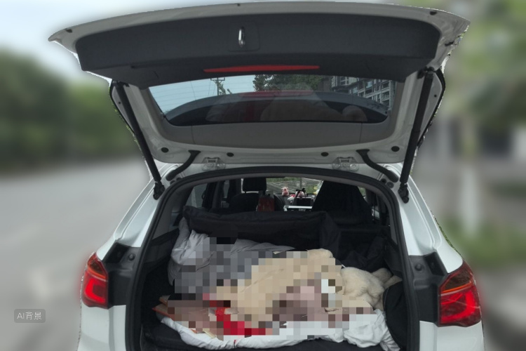 BMW X1 2018 car image #21