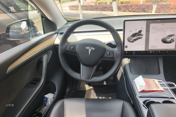 Tesla Model Y 2021 #12 Tesla Model Y 2021 car image #12