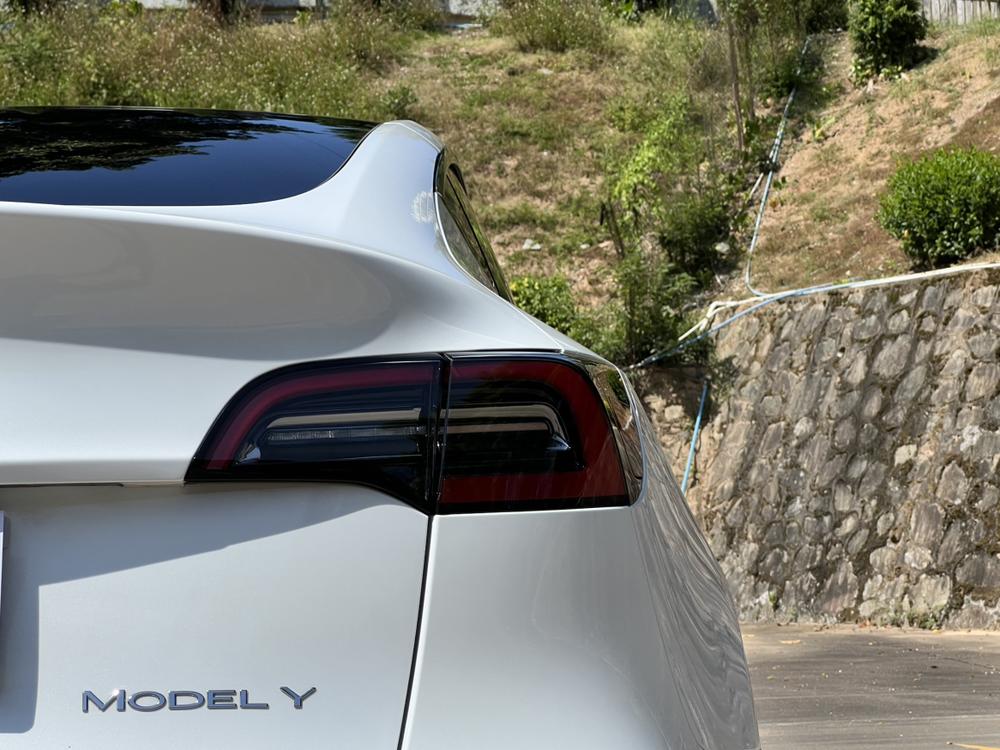 Tesla Model Y 2024 #8 Tesla Model Y 2024 car image #8