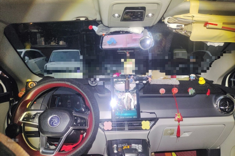 BYD Yuan Pro 2021 car image #11