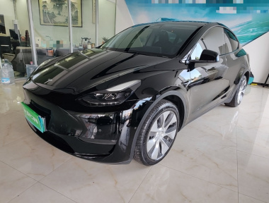 Tesla Model Y 2022 car image 