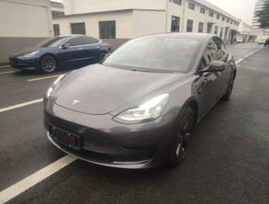 Tesla Model 3 2021 Tesla Model 3 2021 car image