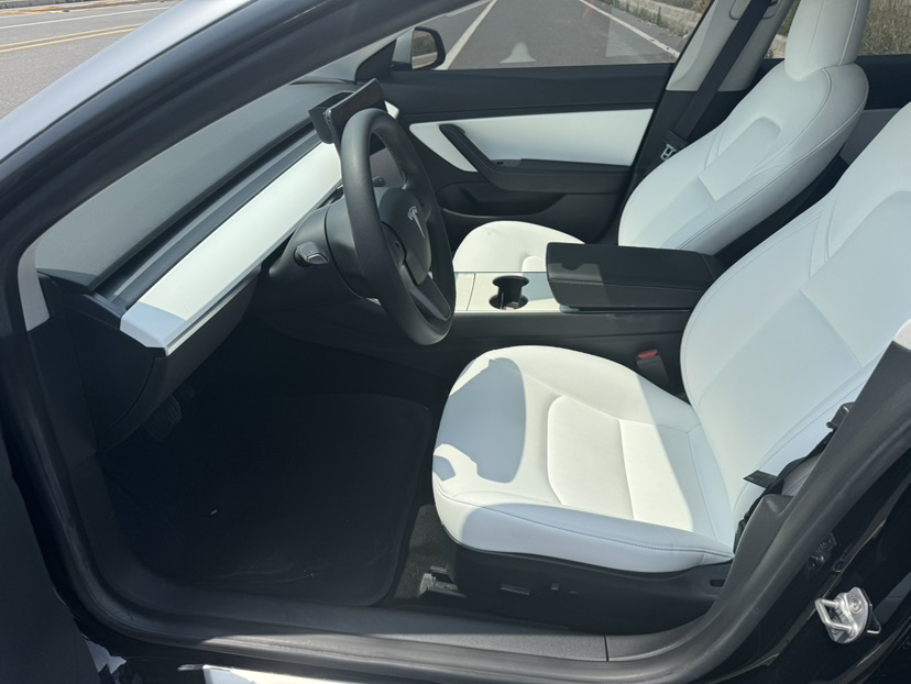 Tesla Model 3 2020 #8 Tesla Model 3 2020 immagine di auto #8