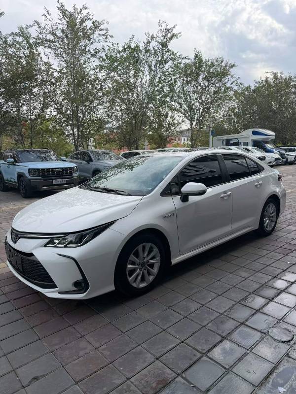 Toyota Corolla 2023 Toyota Corolla 2023 car image