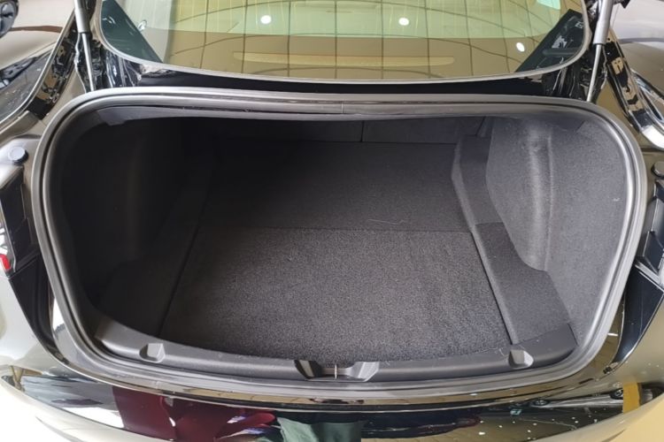 Tesla Model 3 2020 car image #19