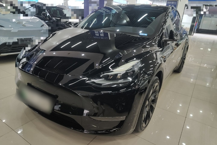 Tesla Model Y 2021 #2 Tesla Model Y 2021 car image #2