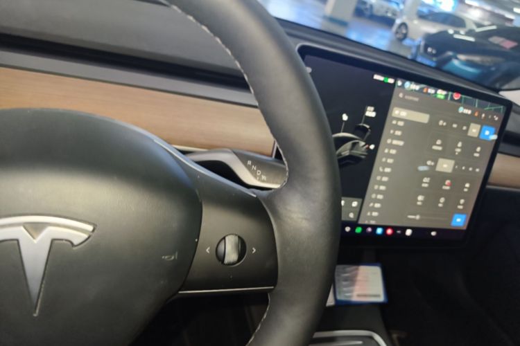 Tesla Model 3 2021 #14 Tesla Model 3 2021 car image #14