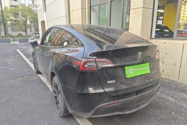 Tesla Model Y 2021 imagem de carro #5