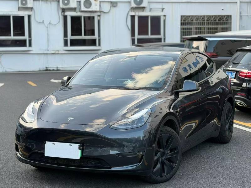 Tesla Model Y 2024 car image #7