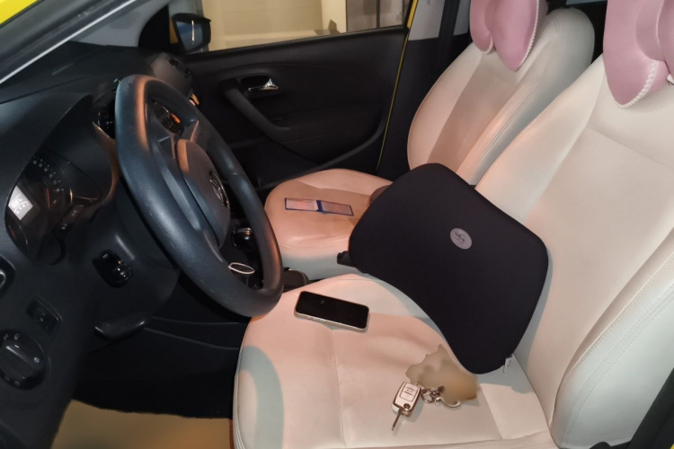 Volkswagen Polo 2015 car image #19